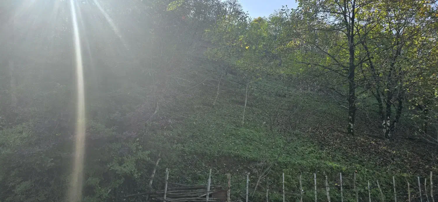 زمین داخل روستا در میانا|فروش زمین و ملک کلنگی|فریم, |دیوار