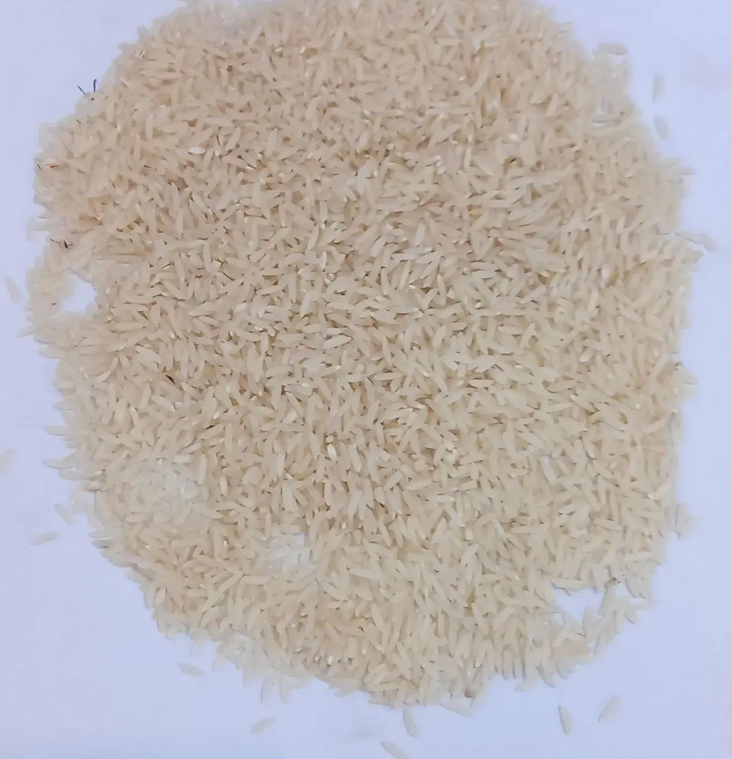 برنج هاشمی خالص|خوردنی و آشامیدنی|رشت, فلسطین|دیوار