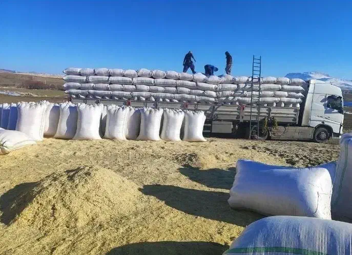 کاهکوب کمباین|عمدهفروشی|سلامی, |دیوار