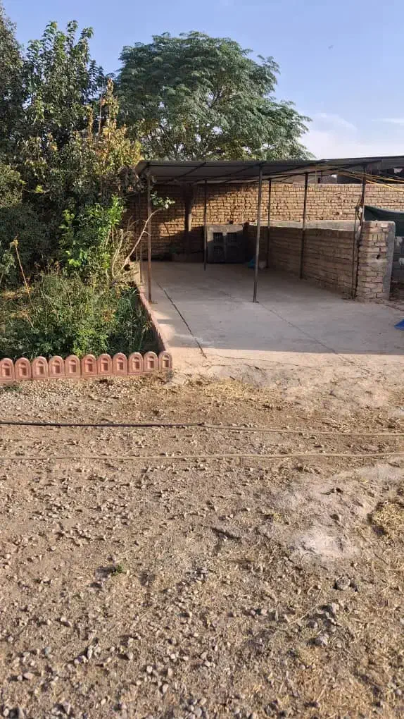 اجاره دامداری ۱۰۰۰متری|اجارهٔ دفتر صنعتی، کشاورزی، تجاری|جوادآباد, |دیوار