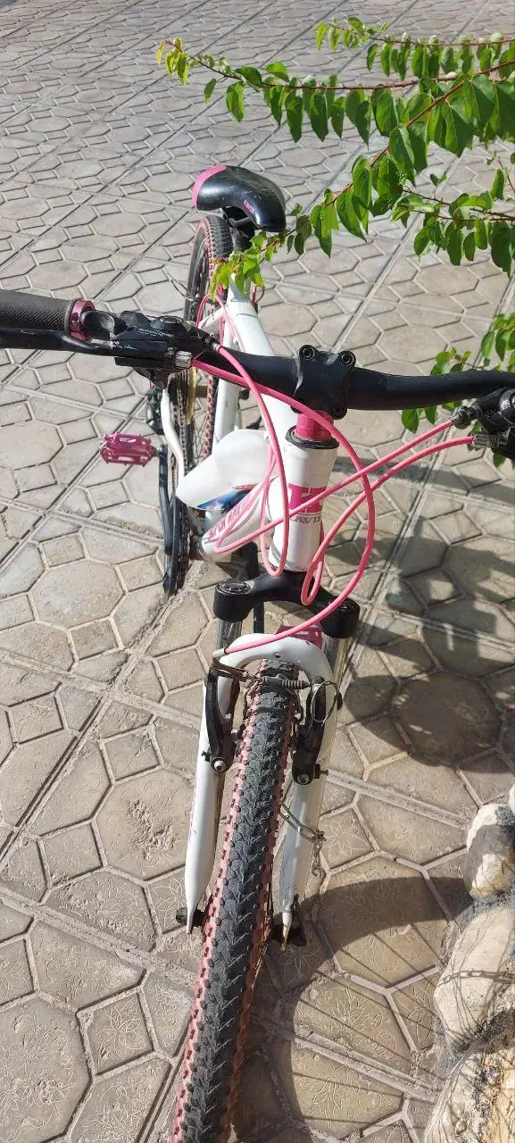 دوچرخه سایز ۲۶|دوچرخه، اسکیت، اسکوتر|بجنورد, |دیوار