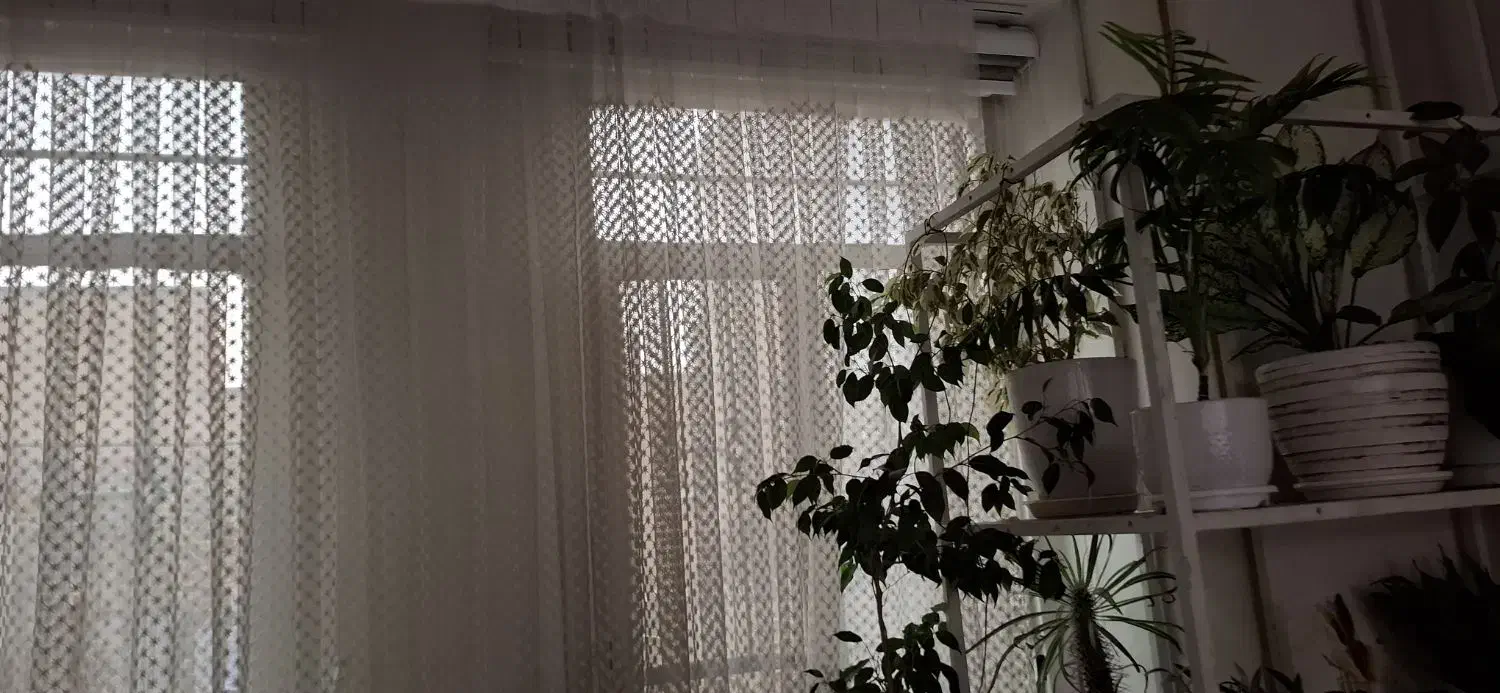 پرده|پرده، رانر، رومیزی|فردیس, فردیس|دیوار