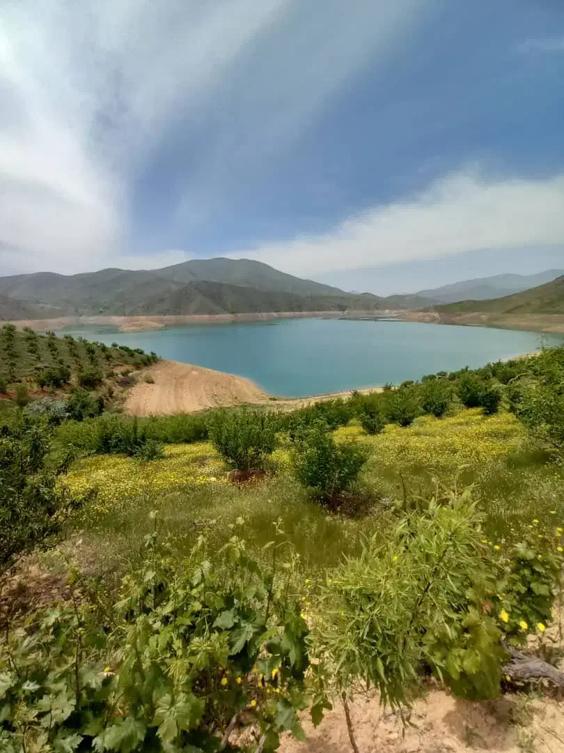 باغ ۳هکتاری بر فراز سد گاوشان|فروش خانه و ویلا|موچش, |دیوار