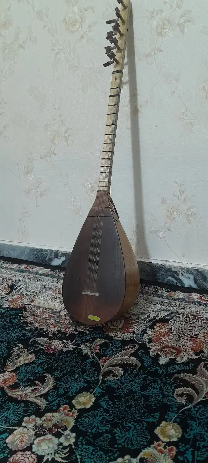 ساز.قوپوز|سازهای سنتی|آبیک, |دیوار