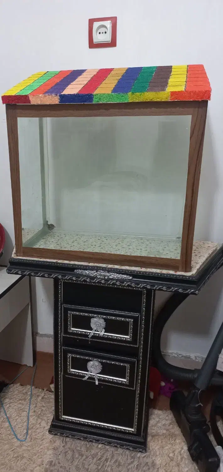 اکواریوم|ماهی|زاهدان, |دیوار