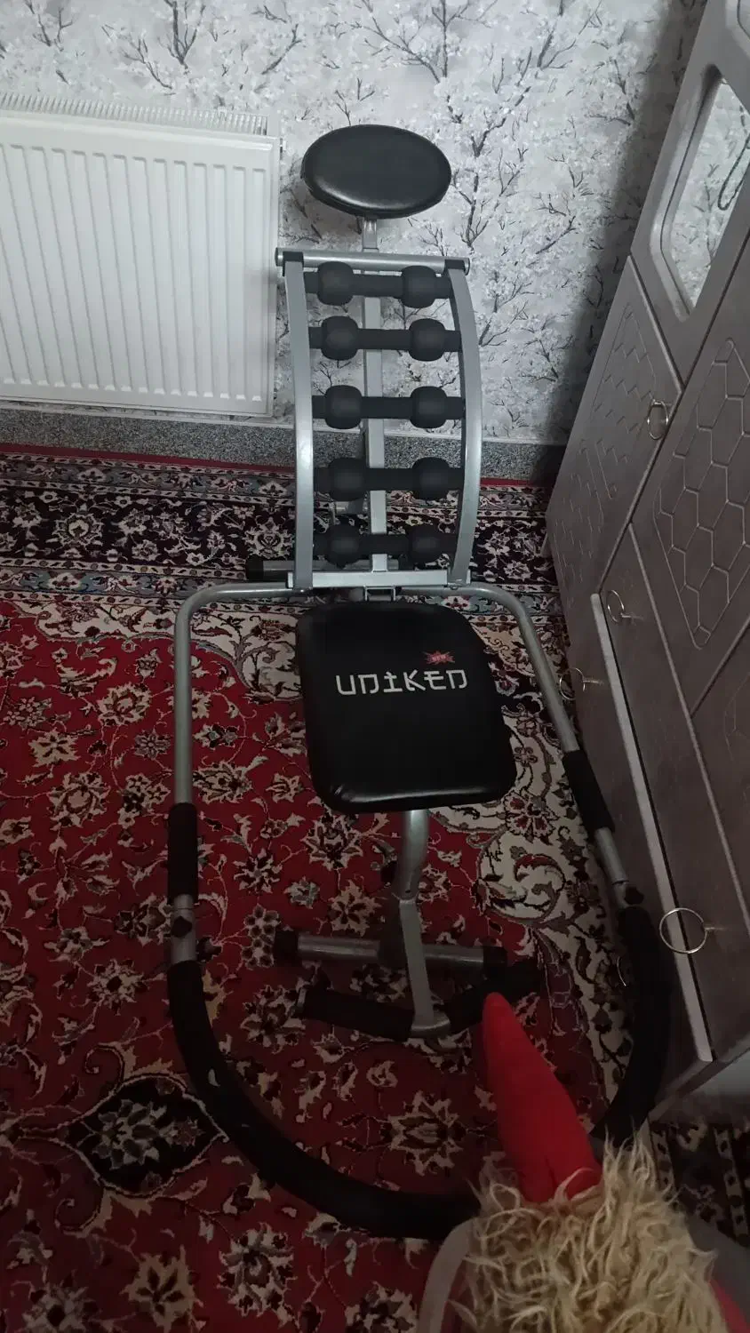 دراز نشست|تجهیزات ورزشی|شیراز, گویم|دیوار