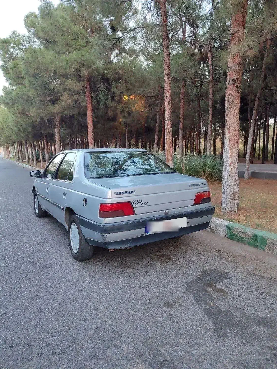 پژو ۴۰۵ دوگانه|خودرو سواری و وانت|ساوه, |دیوار