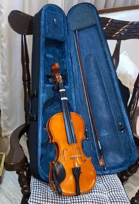 ویولن رناتو سایز 4/4 خیلی تمیز|ویولن|دوگنبدان, |دیوار
