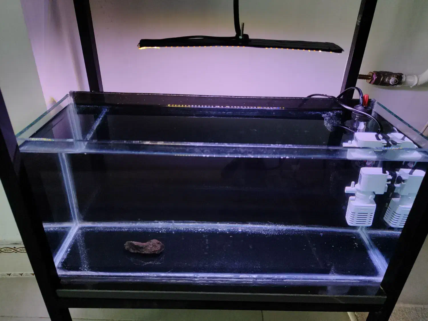 اکواریوم نو با وسایل مفت|ماهی|سنندج, |دیوار