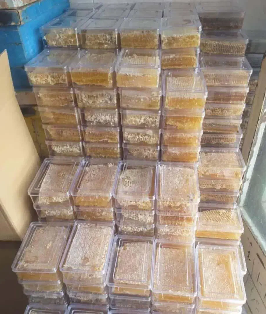 عسل خالص سبلان|خوردنی و آشامیدنی|مشگین شهر, |دیوار