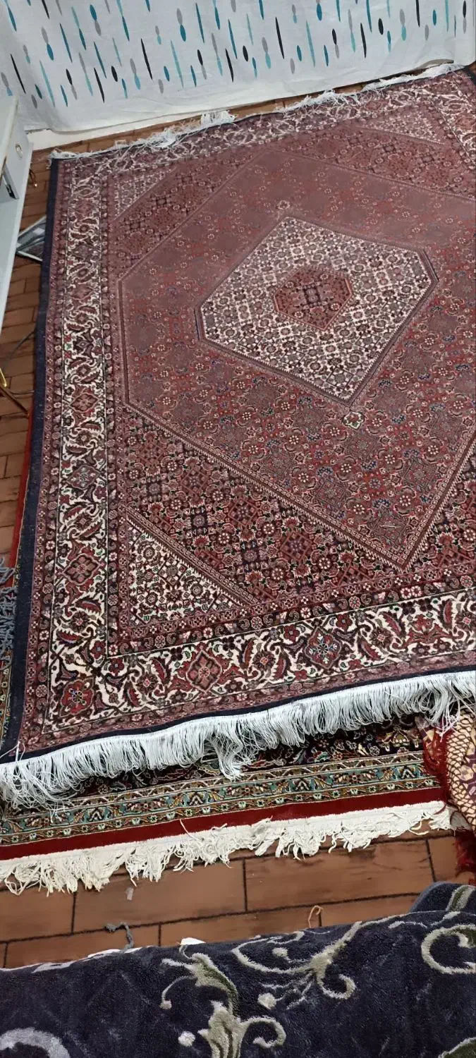 ۶متری|فرش|زنجان, |دیوار