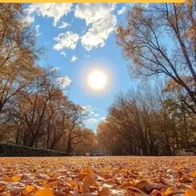 تور گروهی یک شب اقامت جزیره هرمز|تور و چارتر|میبد, |دیوار