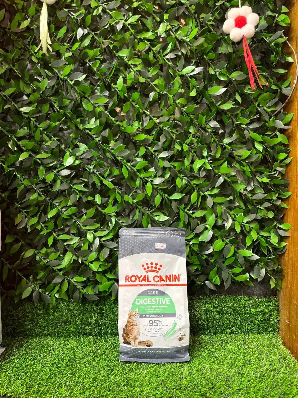 غذای خشک گربه رویال کنین دایجستیو (اورجینال)|گربه|رشت, بلوار گیلان|دیوار