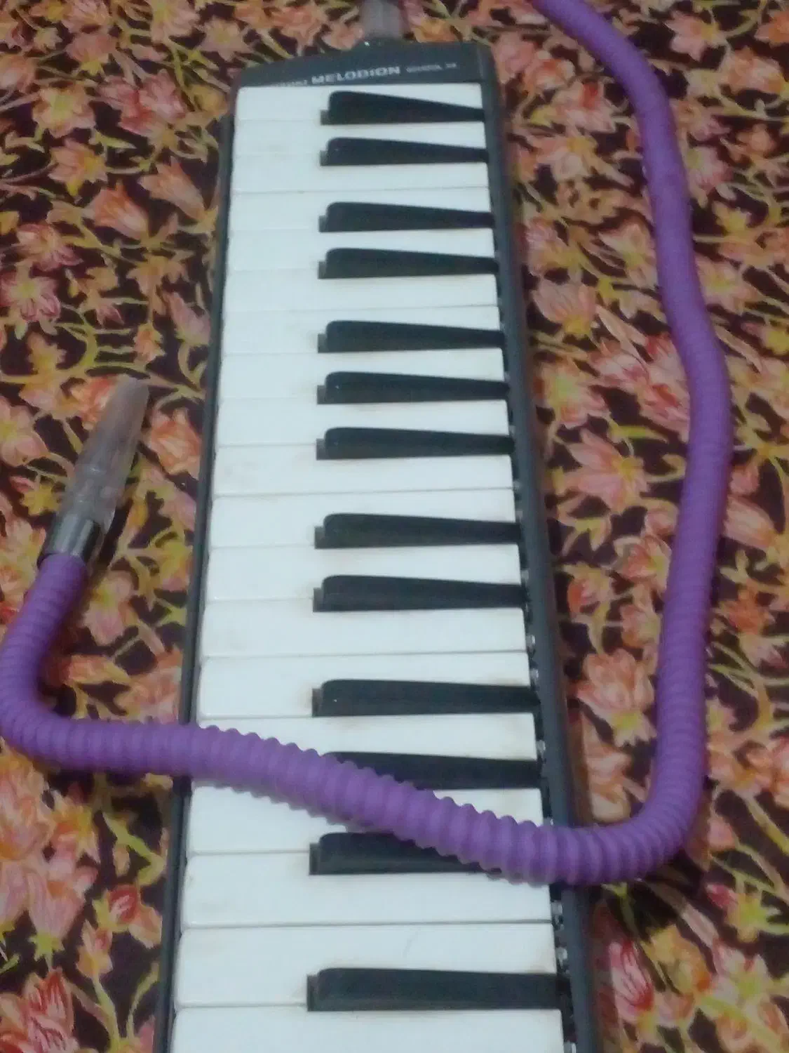 سازمولودیکامدل سوزوکی|پیانو، کیبورد، آکاردئون|آزادشهر, |دیوار