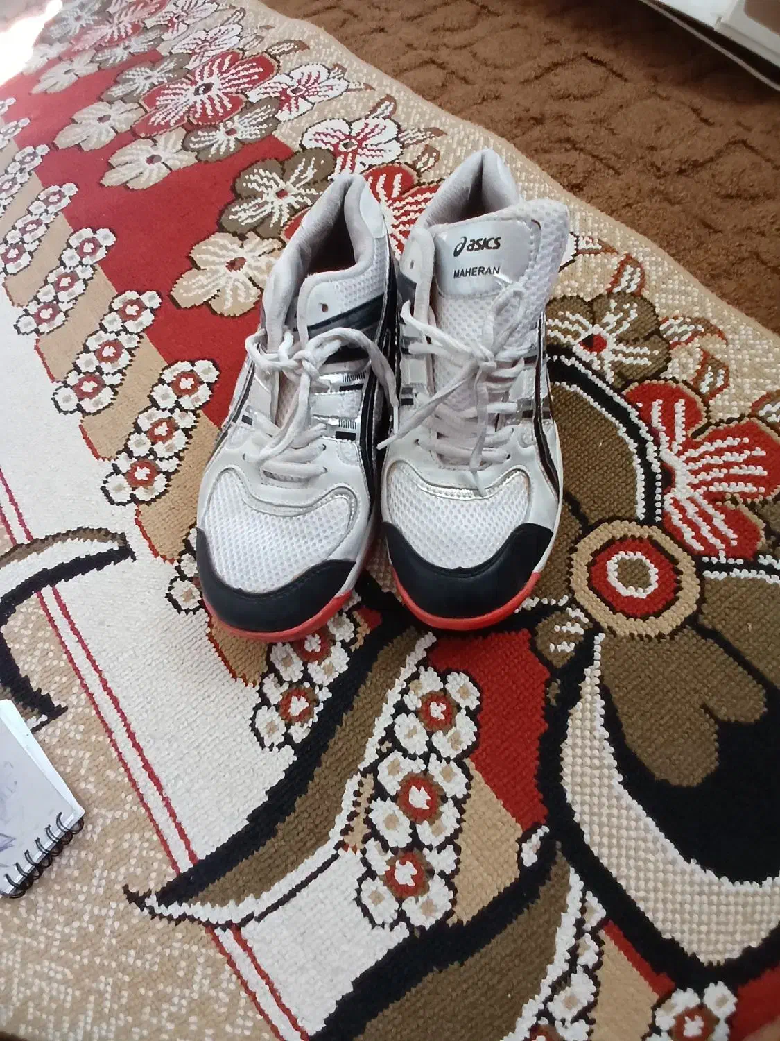 کفش|کیف، کفش، کمربند|سقز, |دیوار