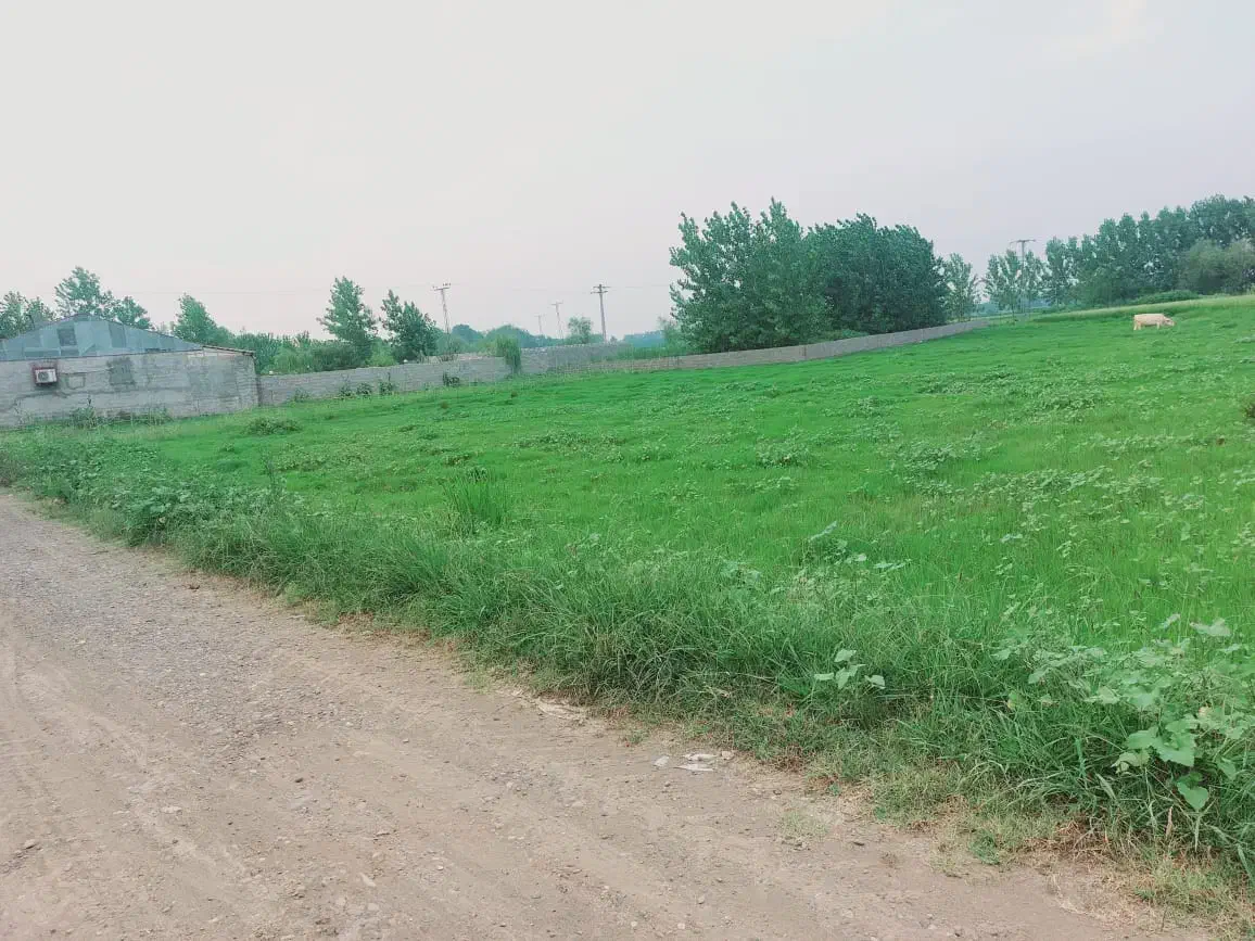 زمین ۱۰۹۳متری فخب شهید نوروزی|فروش زمین و ملک کلنگی|رشت, فخب|دیوار