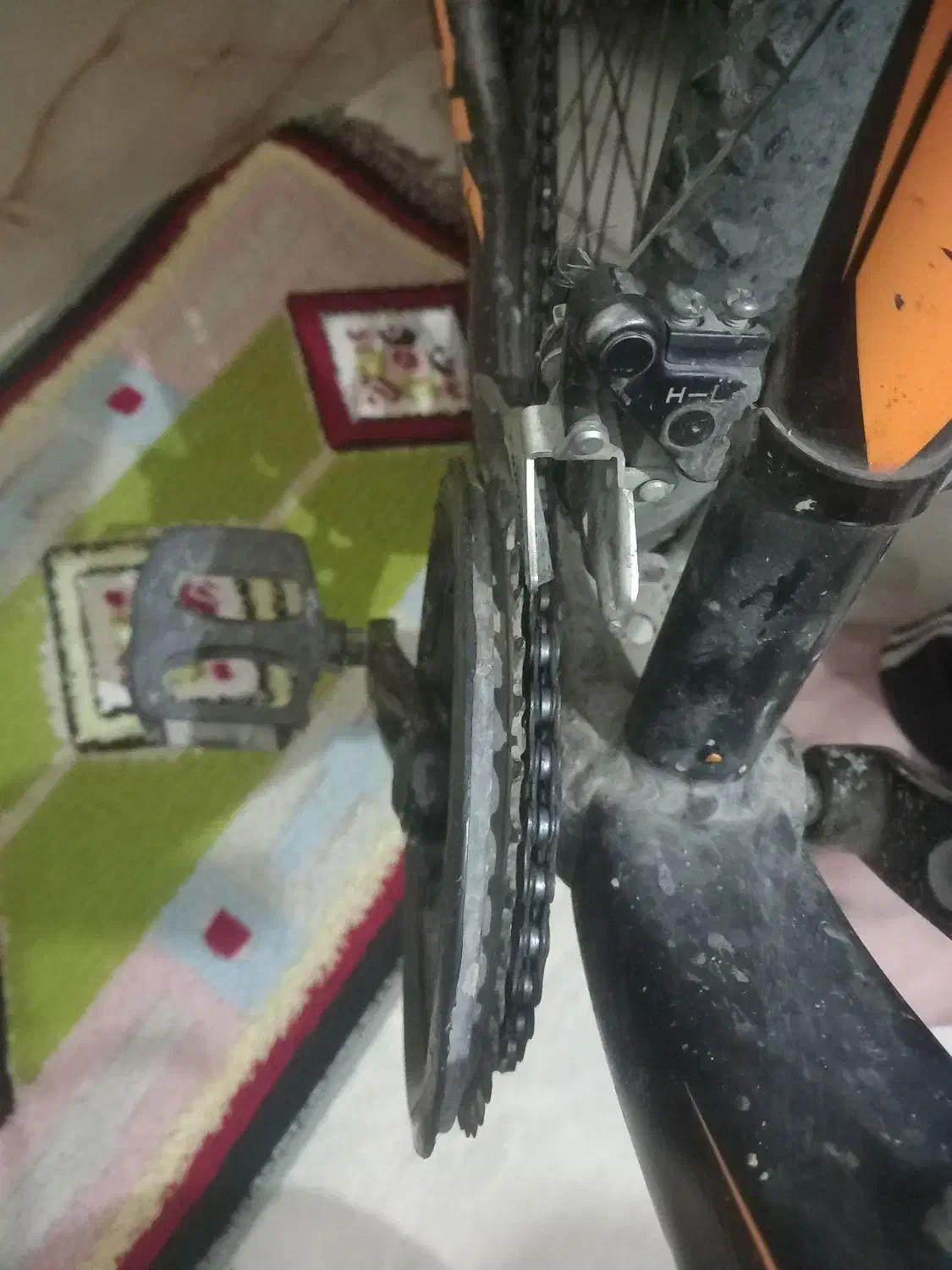 دوچرخه ۲۴ تنه بزرگ|دوچرخه، اسکیت، اسکوتر|رباط‌کریم, رباط‌کریم|دیوار