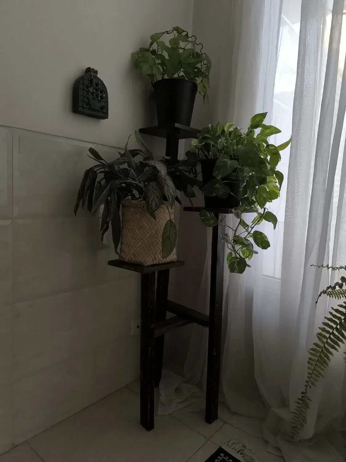 استند گل پایه ی گلدان|گل و گیاه طبیعی|یزد, |دیوار