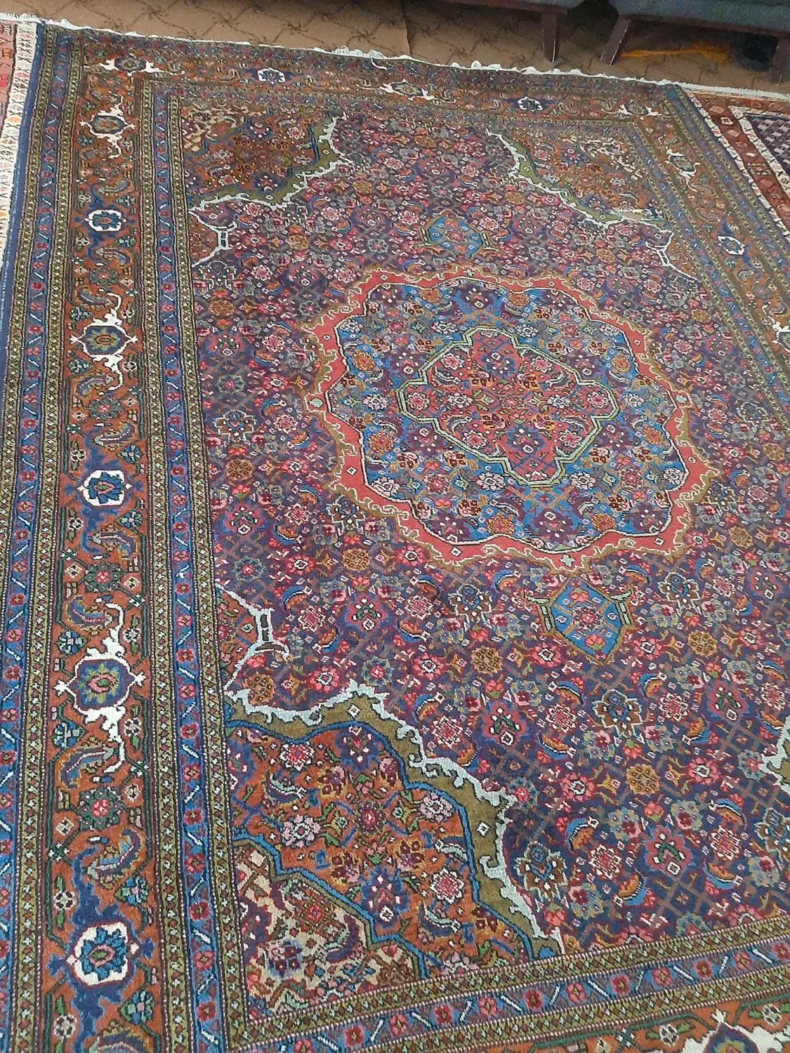 فرس دستباف|فرش|اردبیل, |دیوار