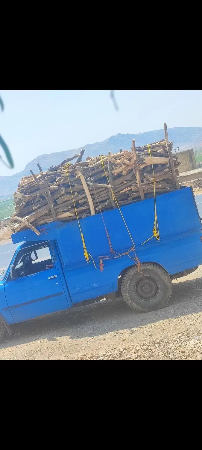 خرید انواع چوب  در خانه و باغ بصورت نقد|خدمات باغبانی و درختکاری|نورآباد ممسنی, |دیوار