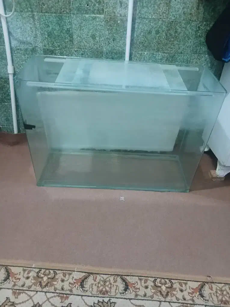 فروش اکواریوم|ماهی|سقز, |دیوار