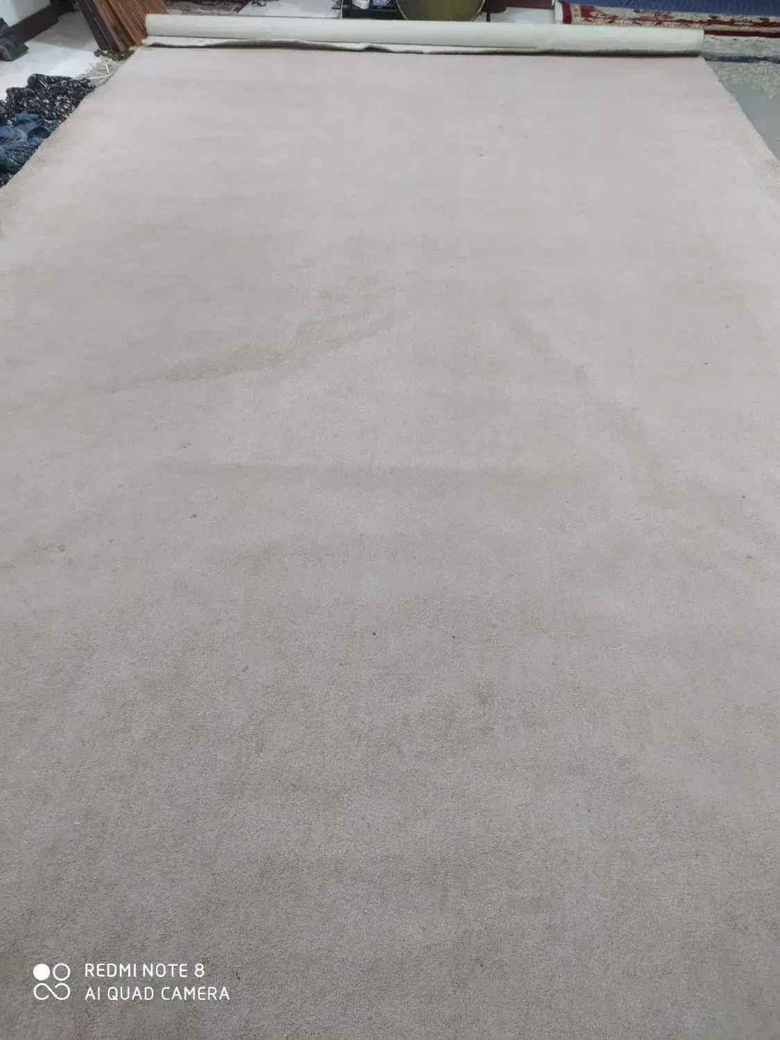 موکت سالم|موکت|علی‌آباد کتول, |دیوار