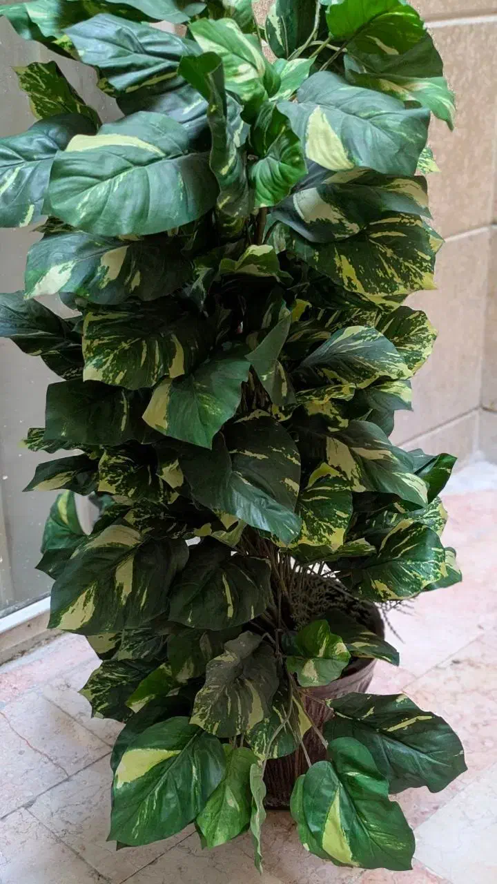 درخت مصنوعی تزیینی|گل مصنوعی|تهران, ستارخان|دیوار