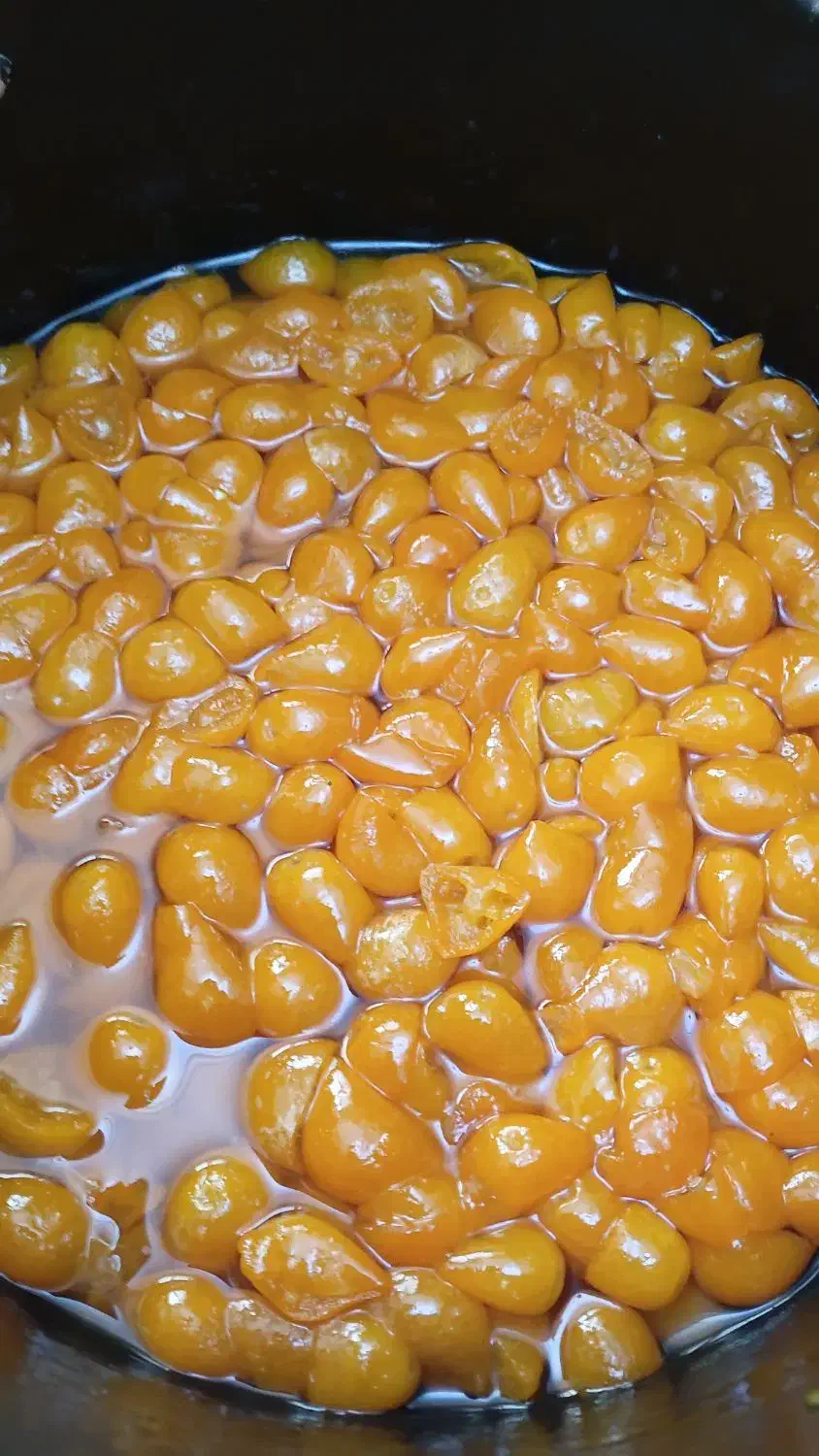 مربای خانگی|خوردنی و آشامیدنی|رشت, چله خانه|دیوار