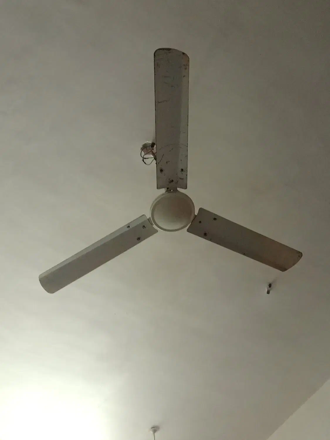 پنکه ،smc اصلی در رامشیر|پنکه و تصفیهکنندهٔ هوا|رامشیر, |دیوار