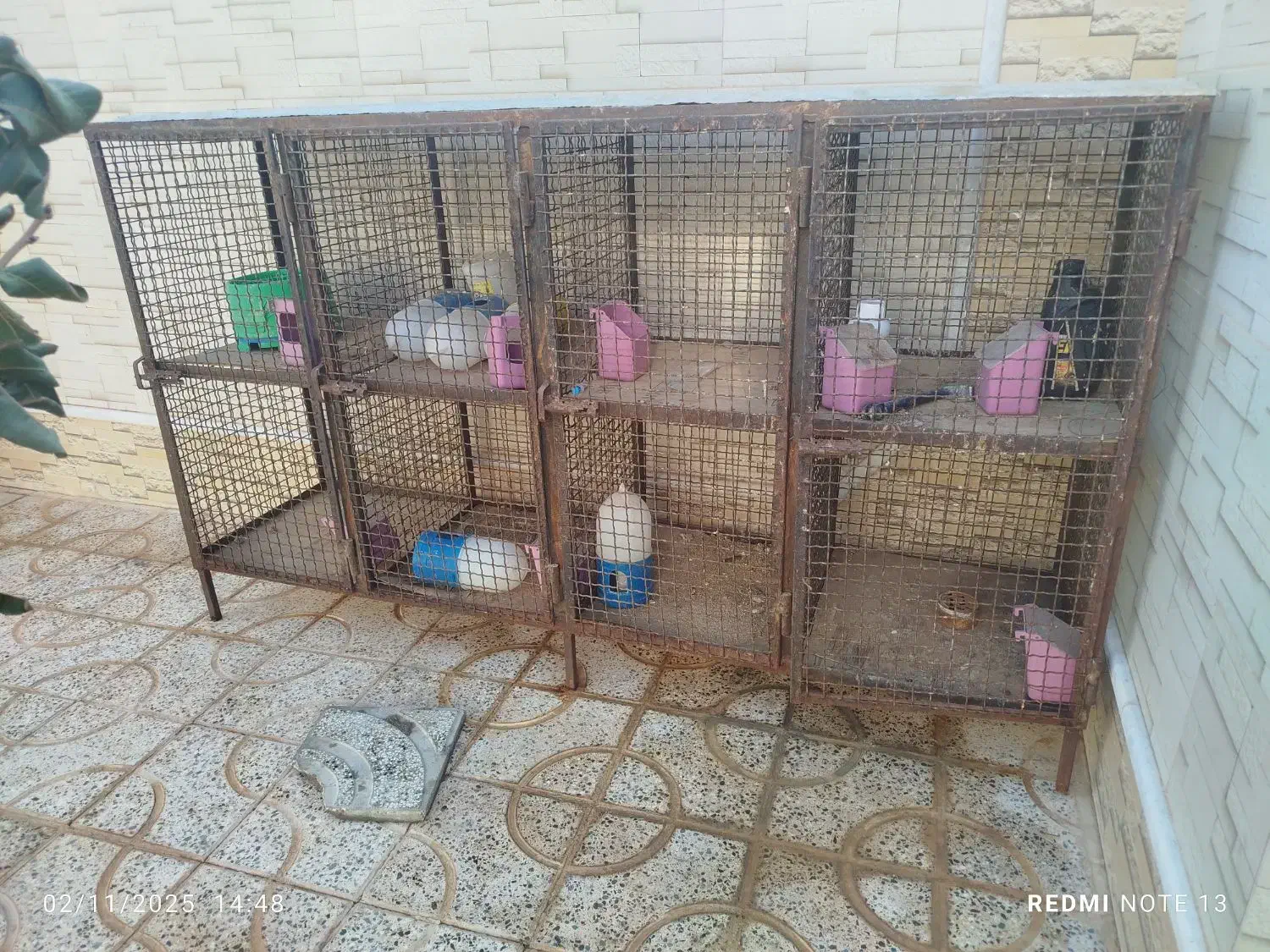 جفت گاه کبوتر|لوازم جانبی حیوانات|سده (خراسان جنوبی), |دیوار