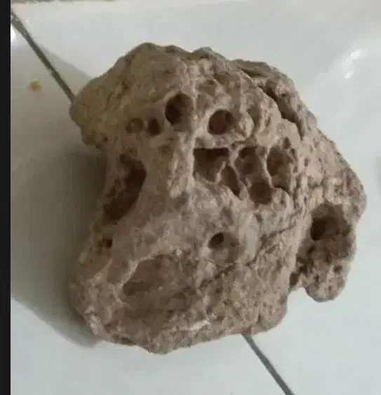 یک عدد سنگ کلکسیونی|کلکسیون اشیاء عتیقه|تبریز, |دیوار