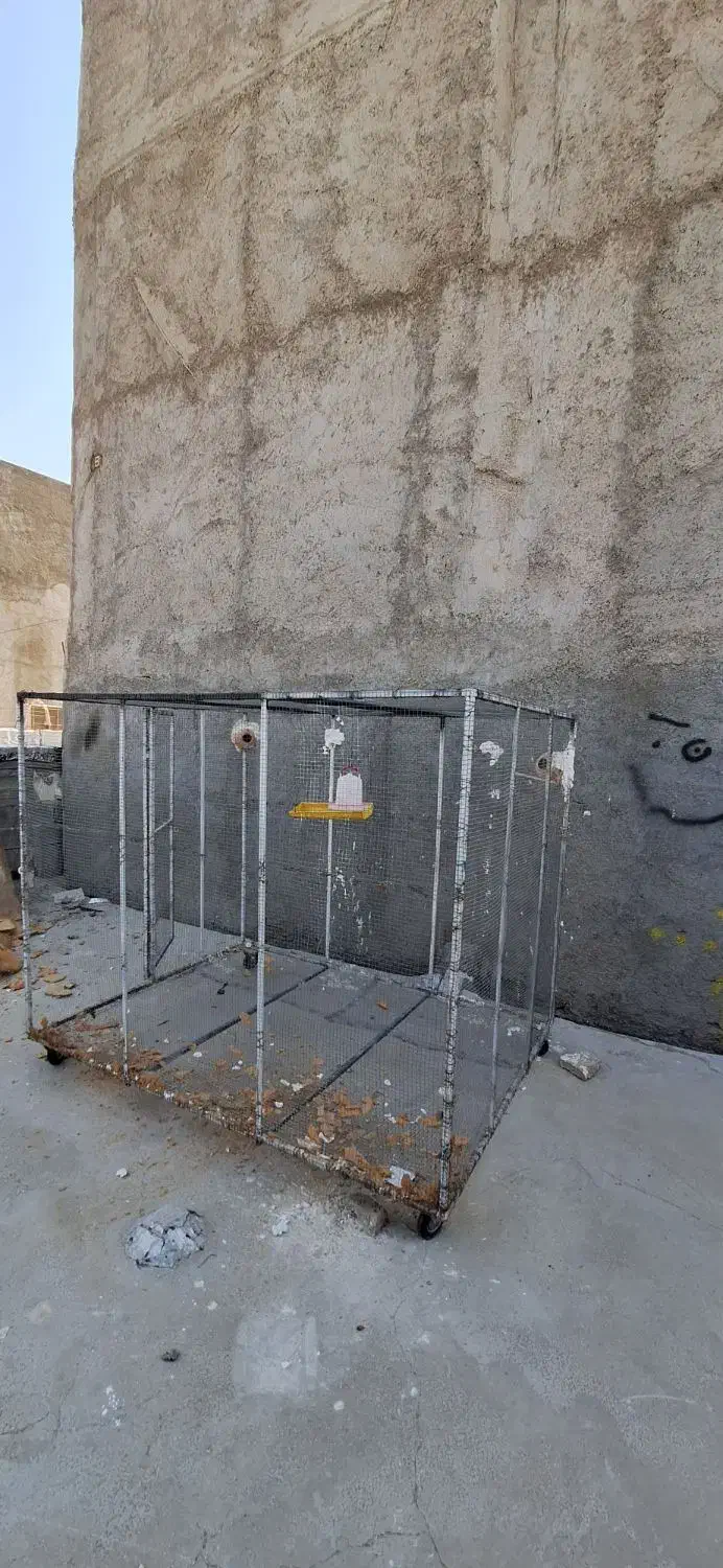 قفس پرنده‌ و مرغ و خروس|لوازم جانبی حیوانات|لامرد, |دیوار