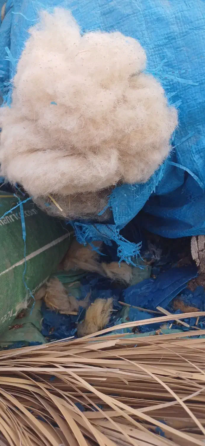 پشم|رختخواب، بالش، پتو|عنبرآباد, |دیوار