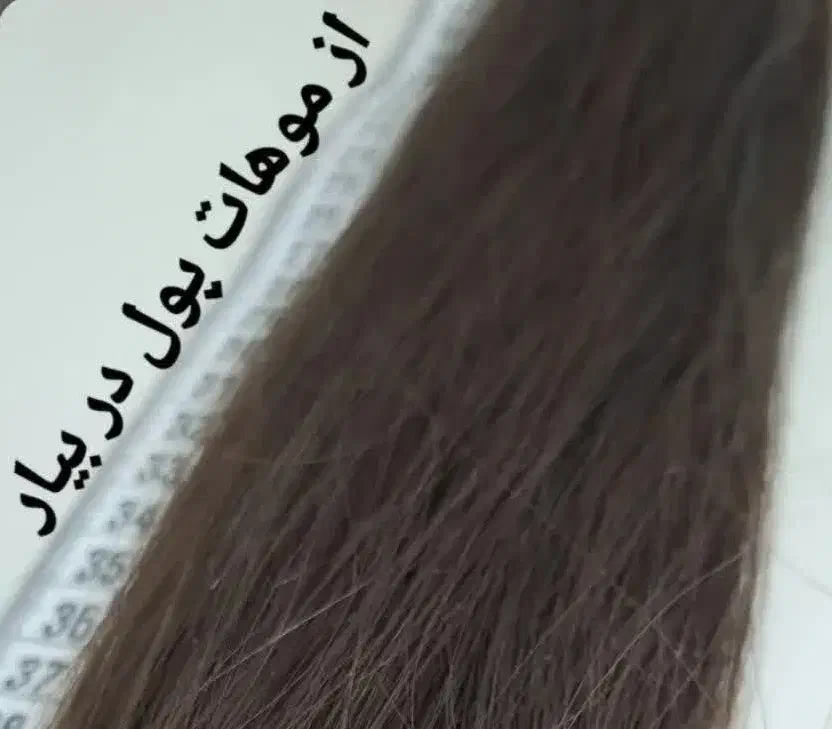 خرید و خریدار مو طبیعی از استان اصفهان نطنز|خدمات آرایشگری و زیبایی|نطنز, |دیوار