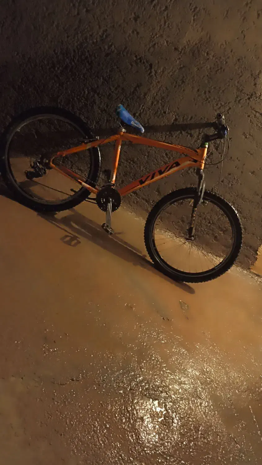 دوچرخه|دوچرخه، اسکیت، اسکوتر|موچش, |دیوار