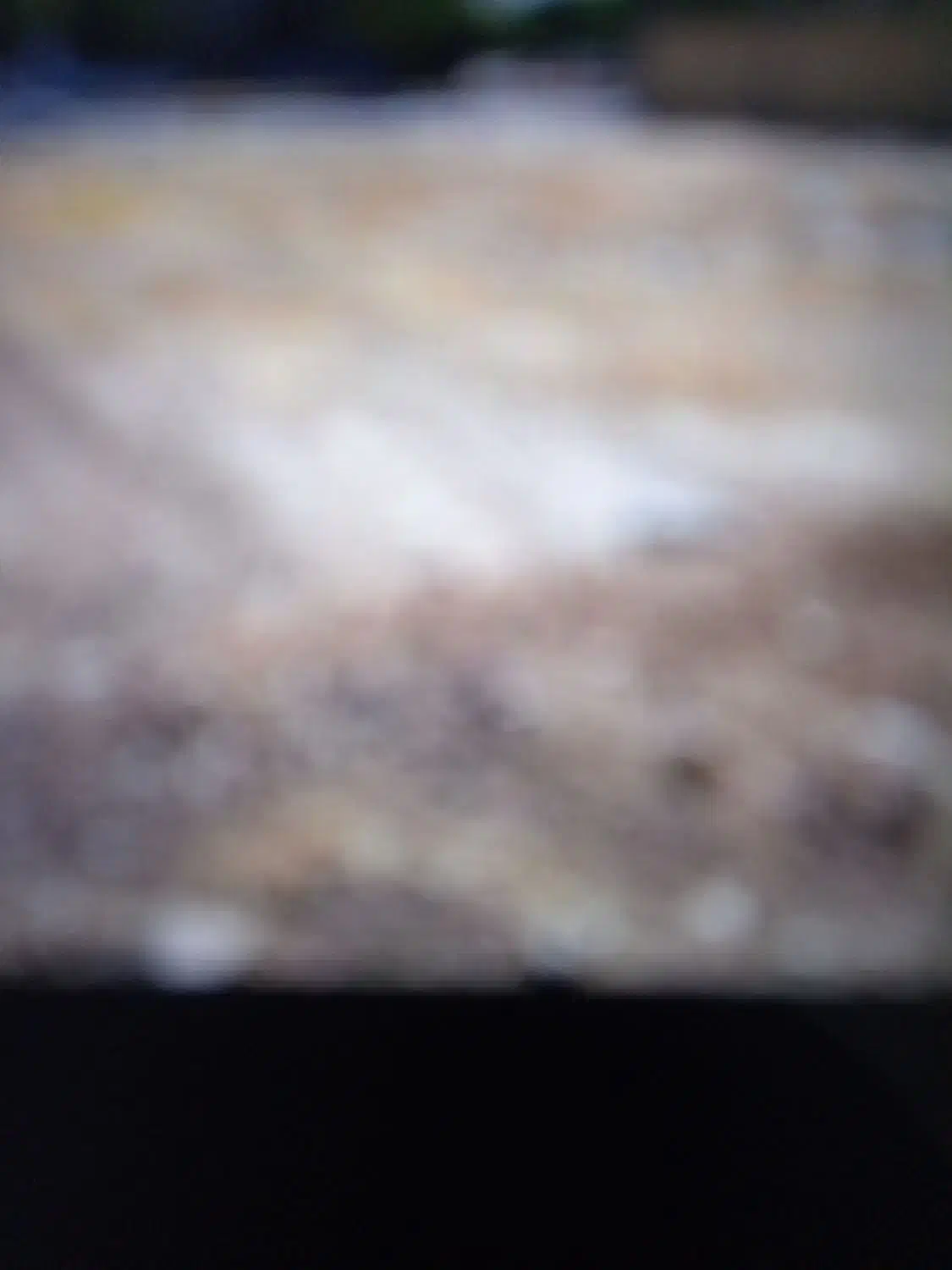 زمین فروشی|فروش زمین و ملک کلنگی|تربتحیدریه, رضاشهر|دیوار