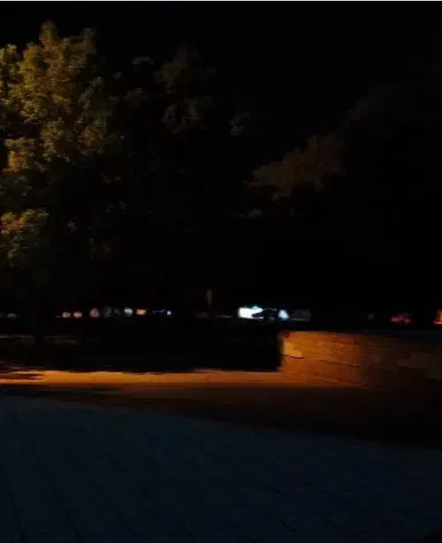 کود سفید مسجد سلیمان|گل و گیاه طبیعی|دهلران, |دیوار