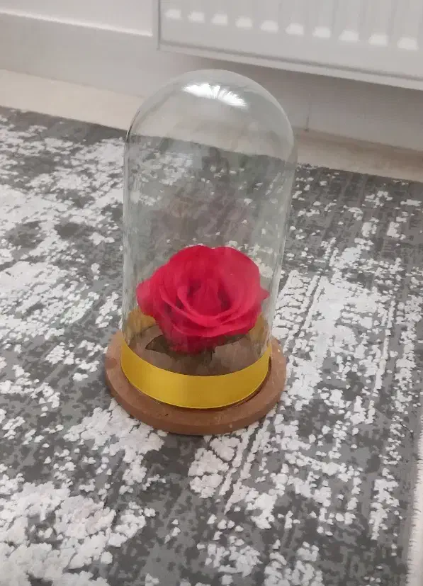 2 باکس گل|گل مصنوعی|ساوه, |دیوار