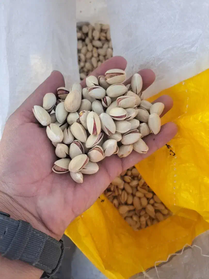 پسته دهن بست و پوک و روابی ...|عمده‌فروشی|گرمسار, |دیوار