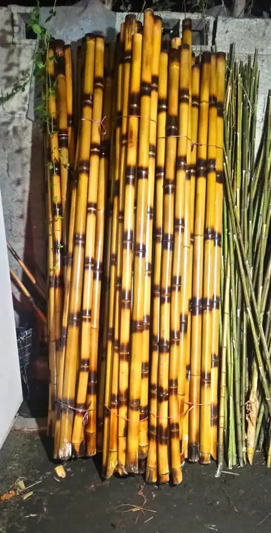چوب بامبو....|مصالح و تجهیزات ساختمان|تهران, پیکان شهر|دیوار
