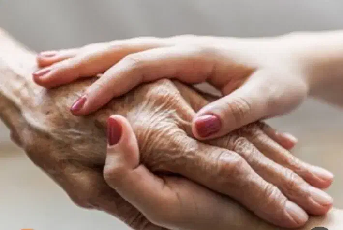 پرستار سالمند در سبزوار به عنوان همخونه|استخدام درمانی، زیبایی، بهداشتی|سبزوار, مدرس|دیوار