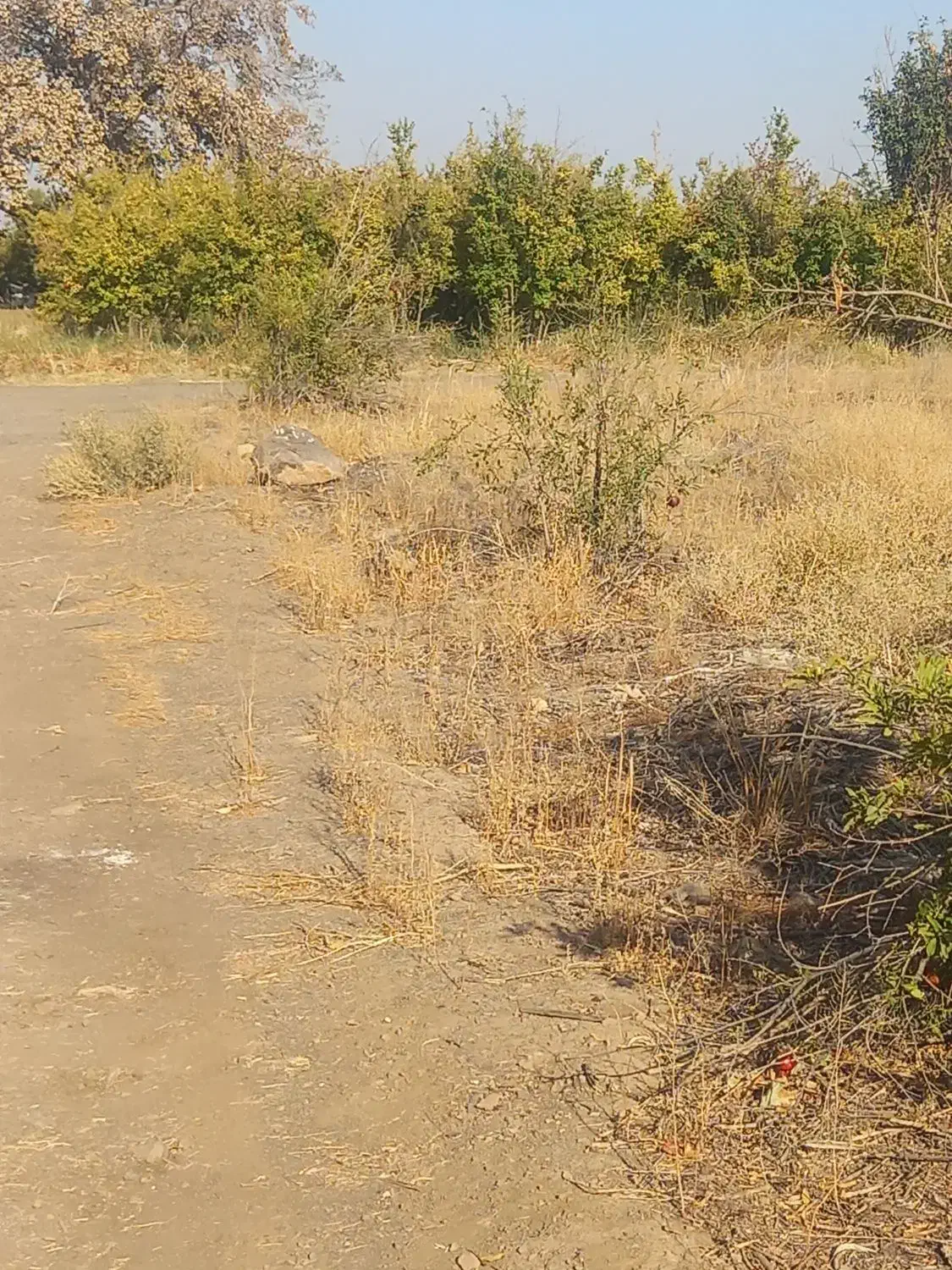 زمین باغی۳۰۰۰متردرروستای اندیس|فروش دفتر صنعتی، کشاورزی، تجاری|قاهان, |دیوار