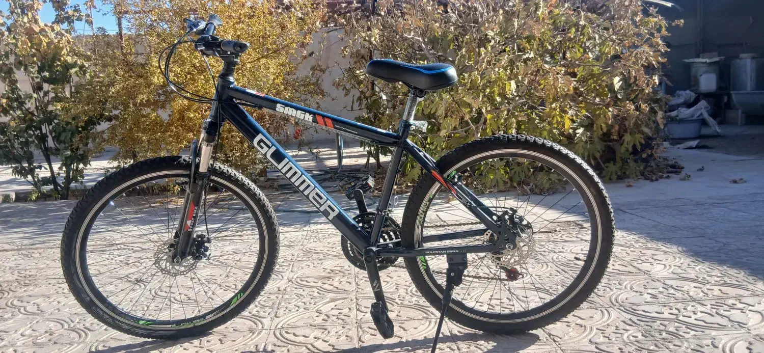 دوچرخه درجه یک|دوچرخه، اسکیت، اسکوتر|زرند, |دیوار