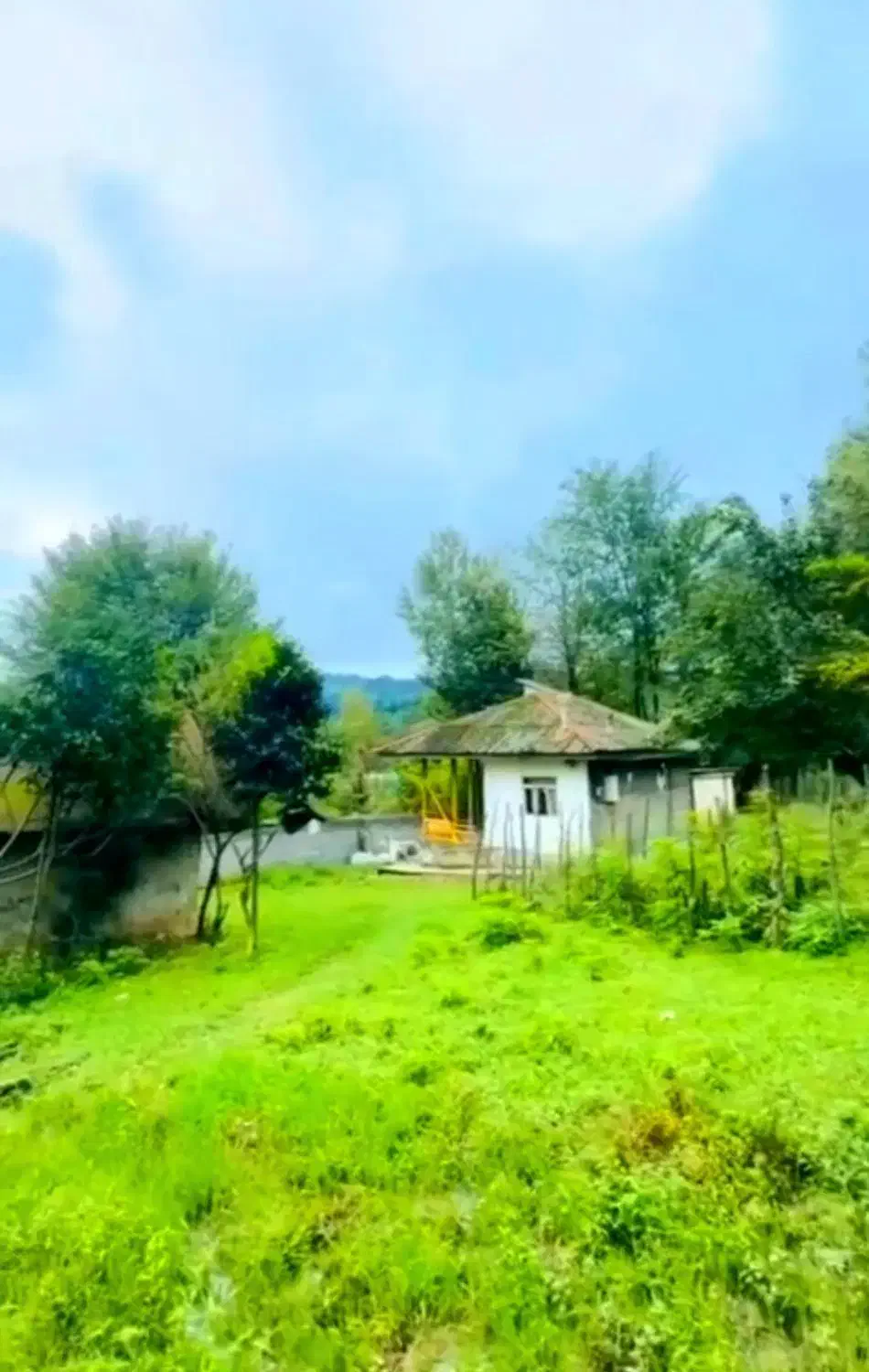 خانه کلنگی ۵۴۵ متر جنگلی مدارک کامل آسفالت|فروش زمین و ملک کلنگی|فومن, |دیوار