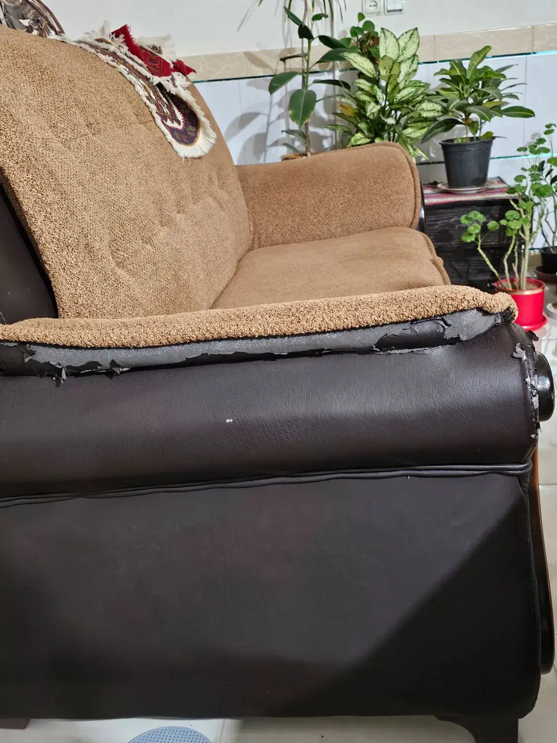 مبلمان|مبلمان خانگی و میز عسلی|جیرفت, |دیوار