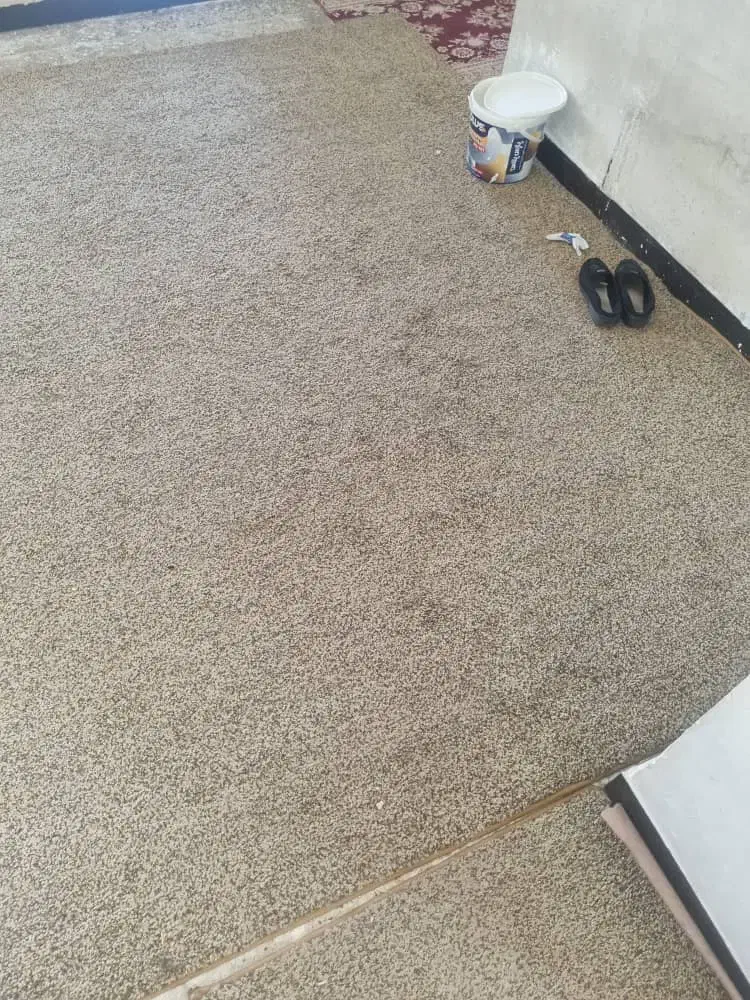 فروش چند قلم موکت و گلیم فرش تمیز باهم|موکت|شوش, |دیوار