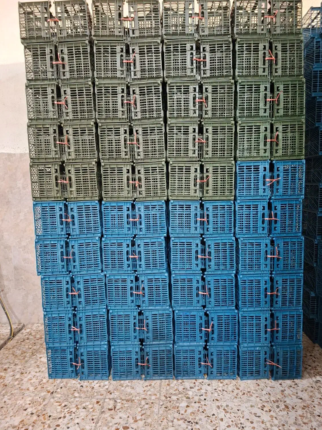 کارگر ساده در کارخانه سبد سازی|استخدام صنعتی، فنی، مهندسی|امیرکلا, |دیوار