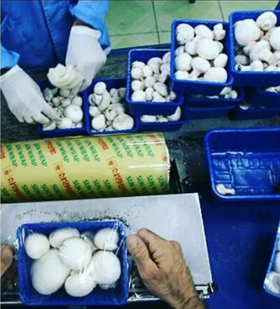 کارگر ساده با جای خواب|استخدام خدمات فروشگاه و رستوران|نوشهر, |دیوار