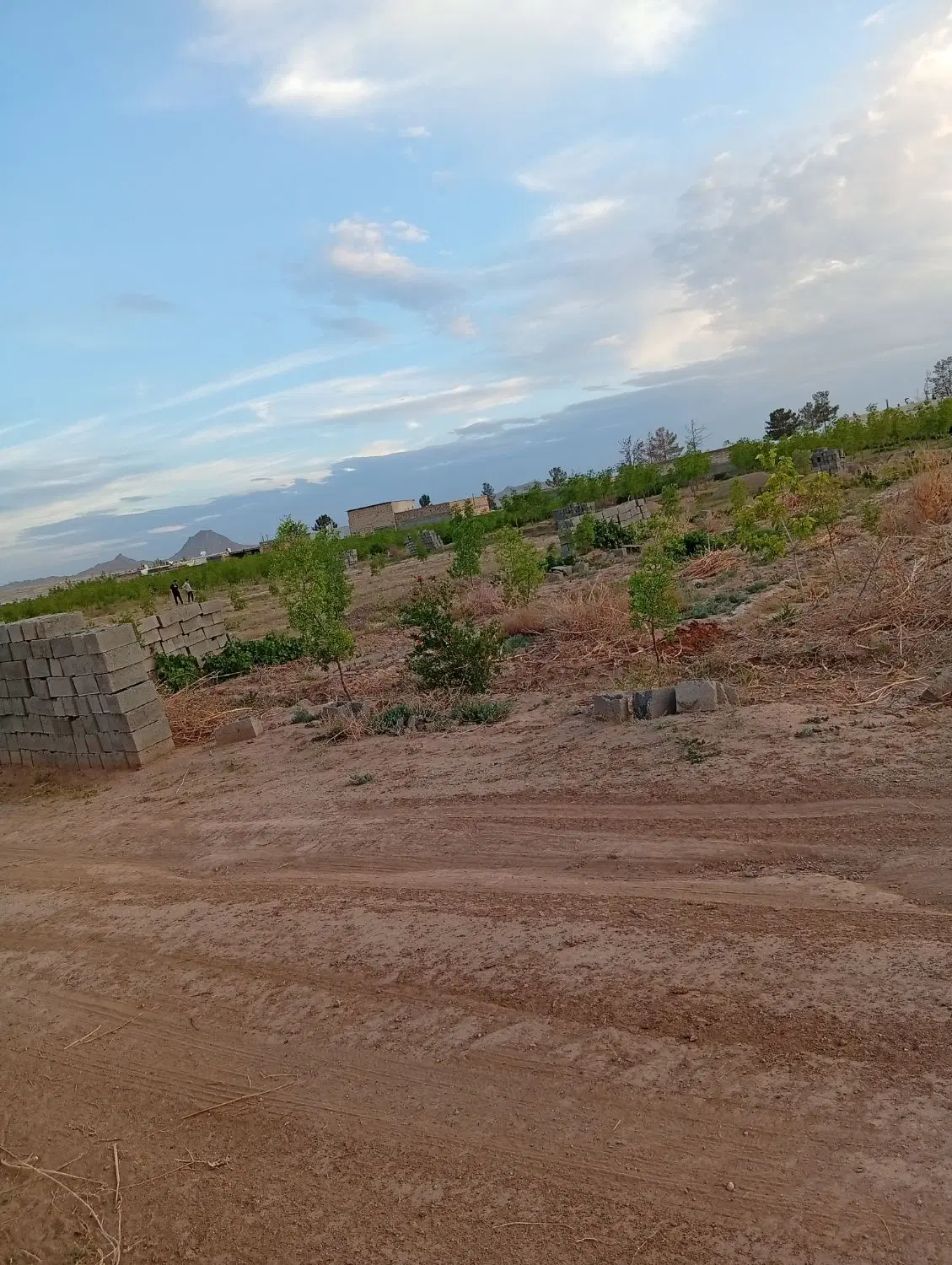 تصویر 3