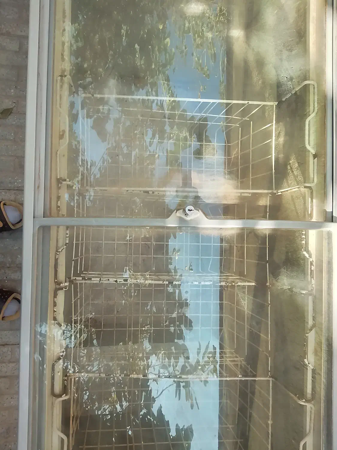 فریزر بستنی|فروشگاه و مغازه|شاهین‌شهر, گرگاب|دیوار